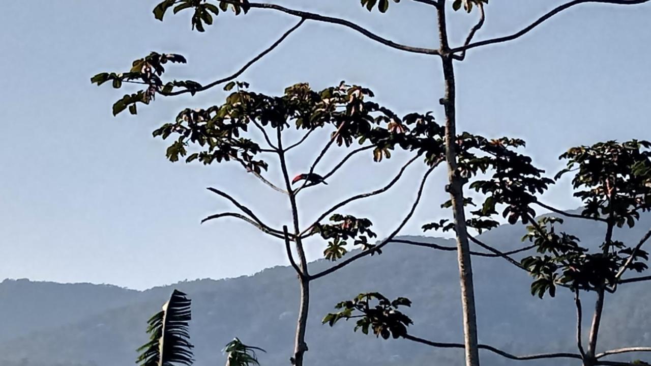 Casa De Montanha Na Praia 일랴벨라 외부 사진
